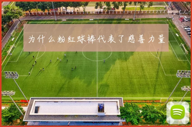 为什么粉红球棒代表了慈善力量