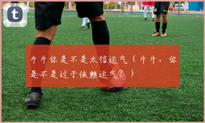 牛牛你是不是太信运气（牛牛，你是不是过于依赖运气？）