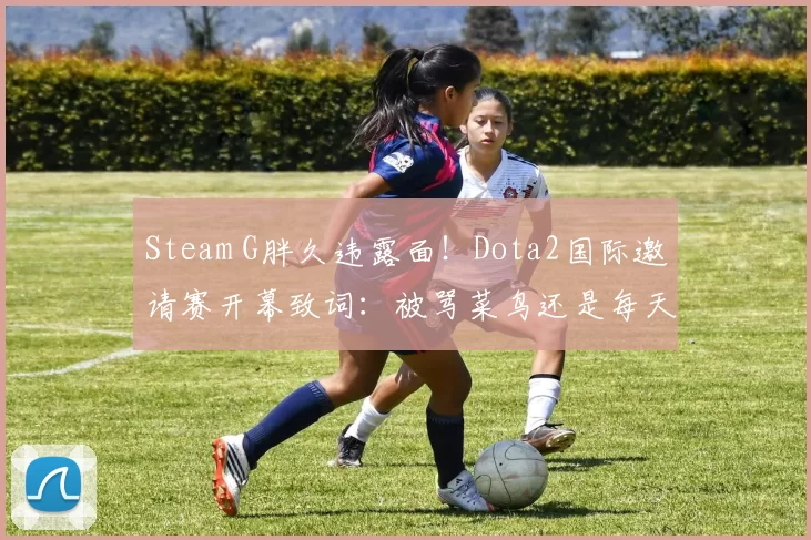 Steam G胖久违露面！Dota2国际邀请赛开幕致词：被骂菜鸟还是每天玩