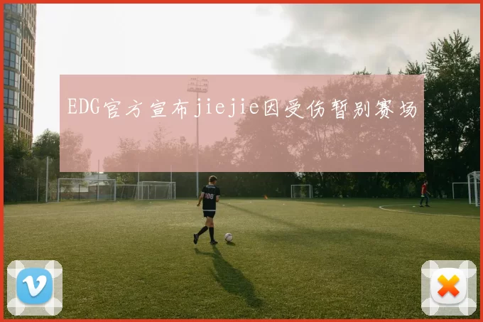 EDG官方宣布jiejie因受伤暂别赛场