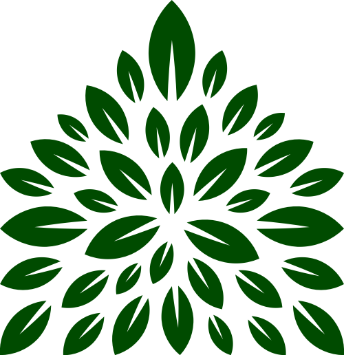 kaiyun